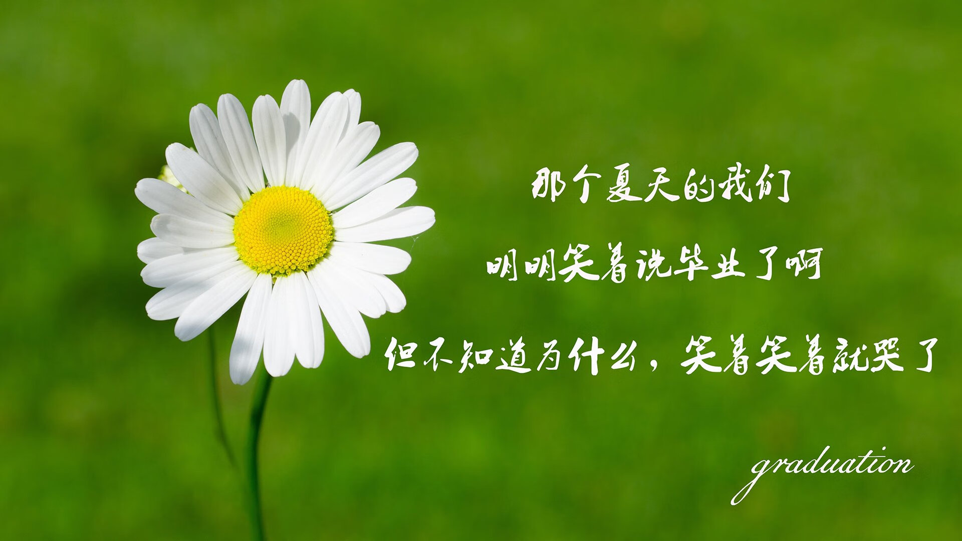 战绩波动背后：深度解析球队变化原因，球队现状