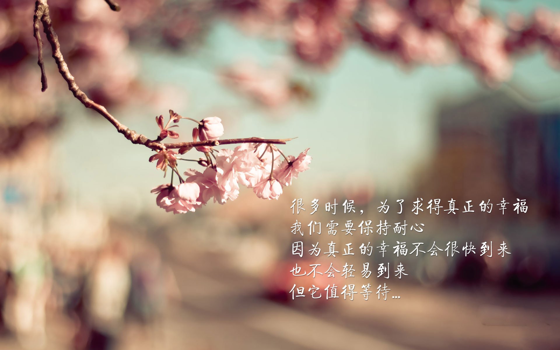 绿军主场迎战强敌，争夺东部第一宝座，绿军对战