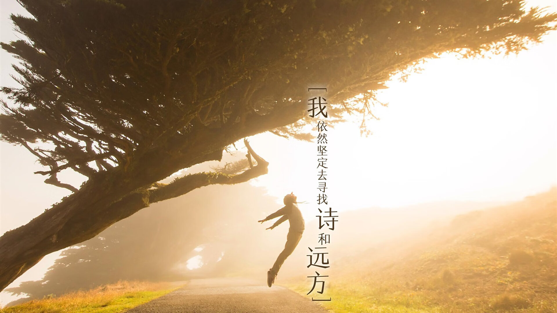 数据透视：技术动作与心理状态关联，数据透视法