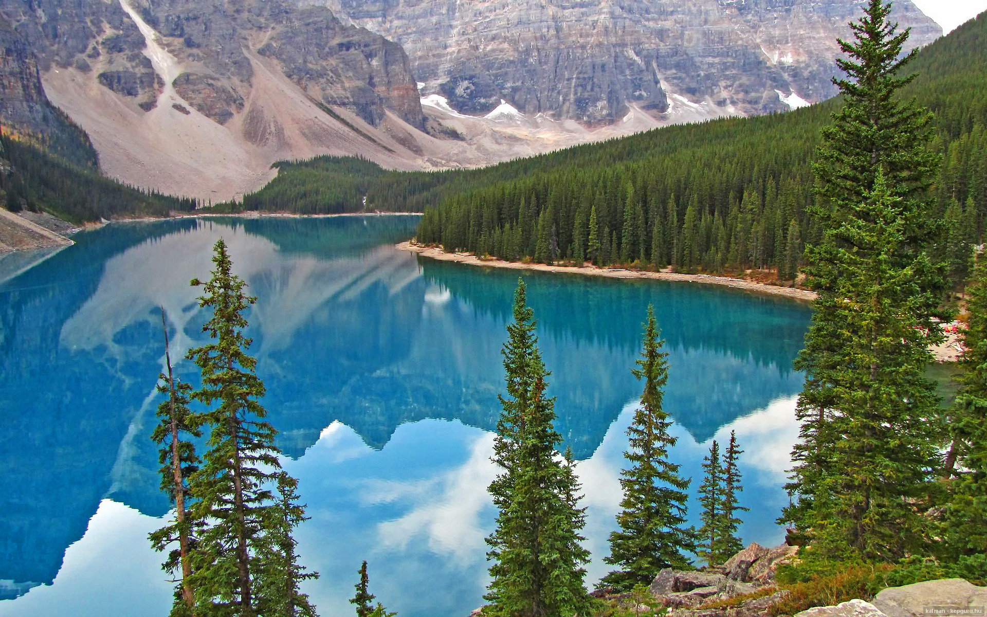 女子职业联赛收入逐年增长，行业前景看好，职业联赛女生