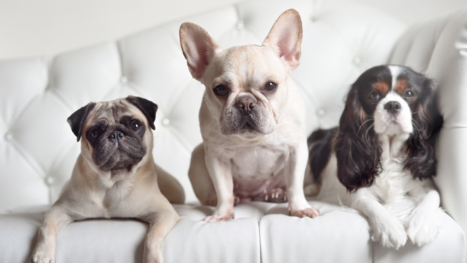 KAIYUN 中国大陆-马拉维女篮在非洲锦标赛中持续崛起，体育影响不断扩大，马拉维是非洲的一个国家吗