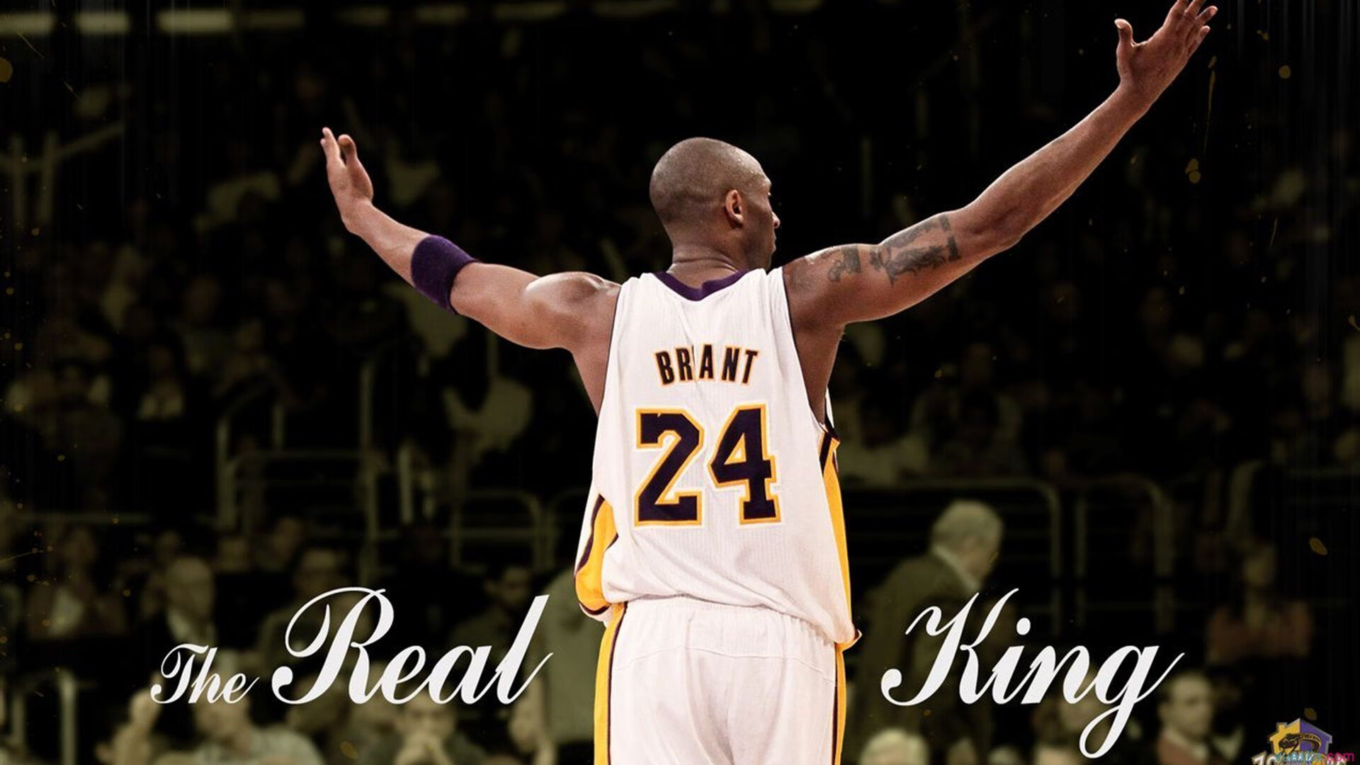 开云体育-_爵士稳步领先，攻守俱佳_，爵士walking