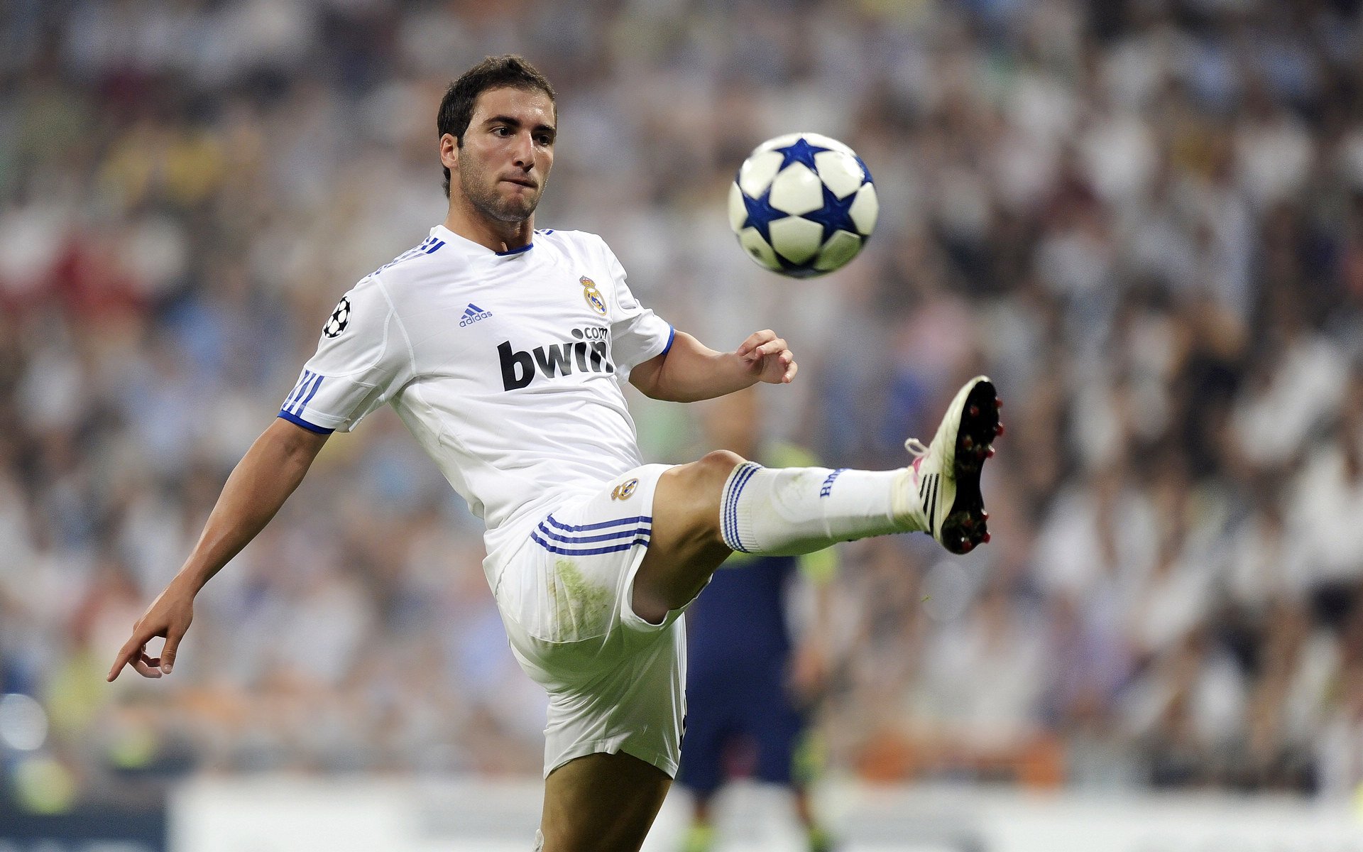 _魔术队追逐梦想，不断迈向高峰_，魔术队魔术师